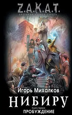 Нибиру. Книга 1 Пробуждение  Игорь Михалков