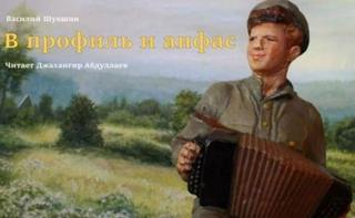 В профиль и анфас — Шукшин Василий