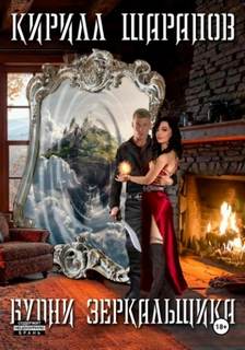 Будни зеркальщика — Шарапов Кирилл