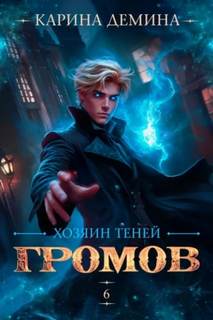 Громов: Хозяин теней – 6 — Демина Карина